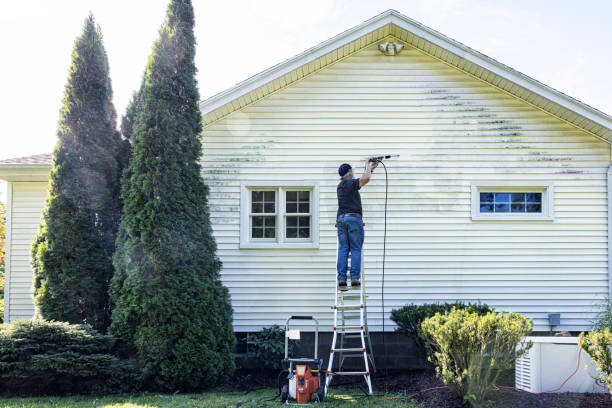 Roof Power Washing Services in Los Osos, CA